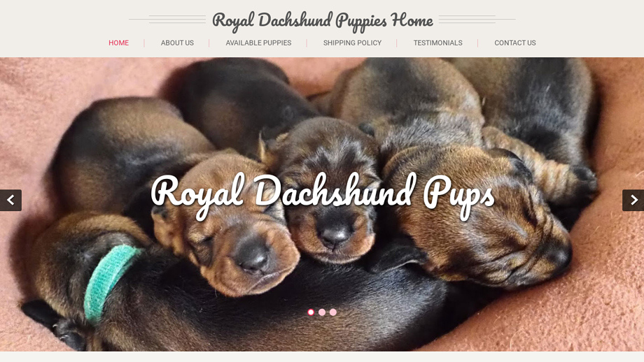 Royaldachshundpups.com - Dachshund Puppy Scam Review