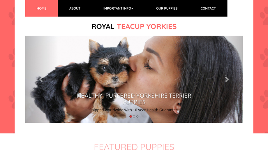 Royalteacupyorkies.com - Yorkshire Terrier Puppy Scam Review