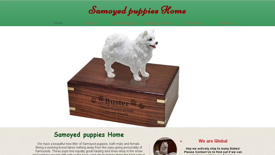 Samoyedsforyou.com - Samoyed Puppy Scam Review