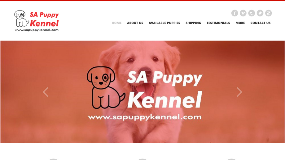 Sapuppykennel.com - Labrador Puppy Scam Review