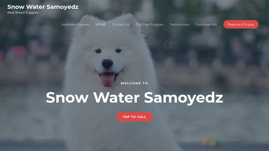 Snowwatersamoyedz.com - Samoyed Puppy Scam Review