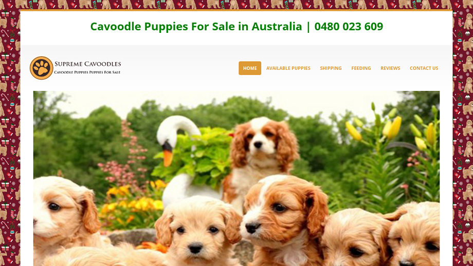 Supremecavoodles.com - Cavapoo Puppy Scam Review