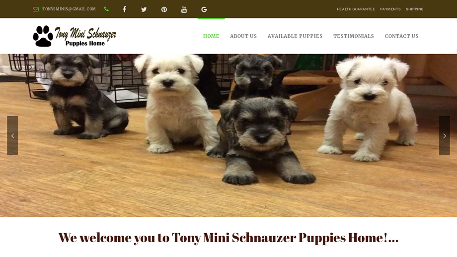 Tonyminischnauzerpuppies.com - Schnauzer Puppy Scam Review