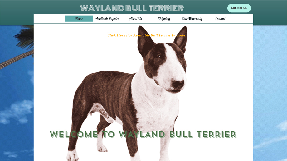 Waylandbullterrier.com - Terrier Puppy Scam Review