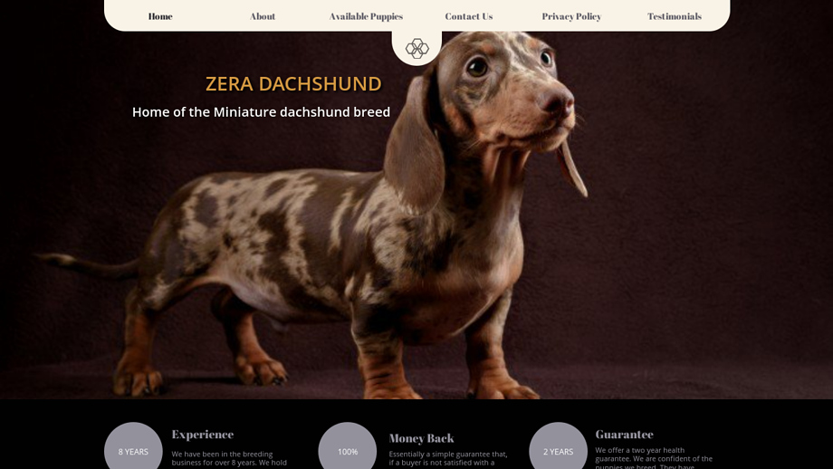 Zeraminidachshunds.com - Dachshund Puppy Scam Review