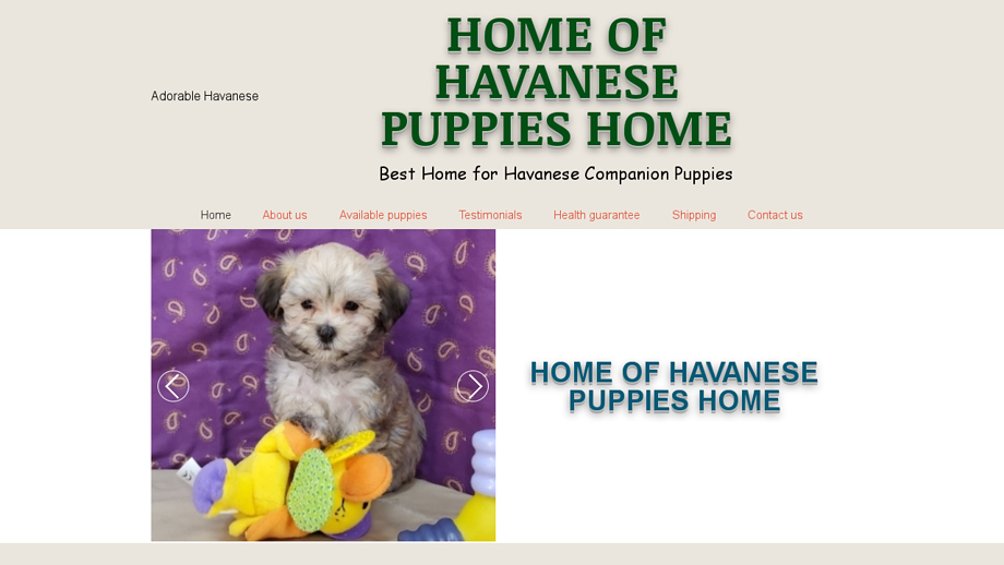 Adorablehavanese.com - Havanese Puppy Scam Review