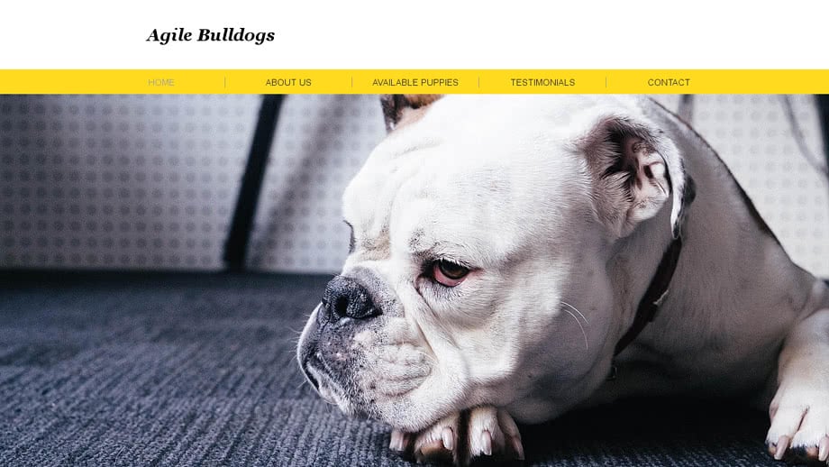 Agilebulldogs.com - Bulldog Puppy Scam Review