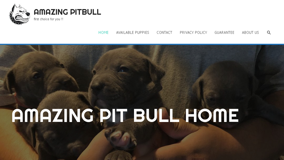 Amazingpitbullhome.com - Pit Bull Puppy Scam Review