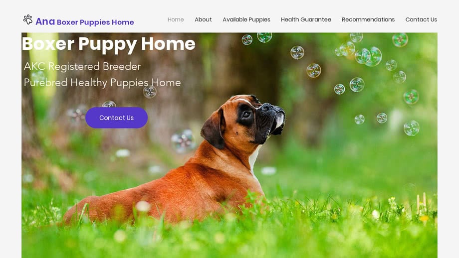 Anaboxerpuppieshome.com - Boxer Puppy Scam Review