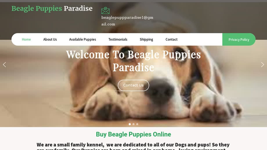 Beaglepuppiesparadise.com - Beagle Puppy Scam Review