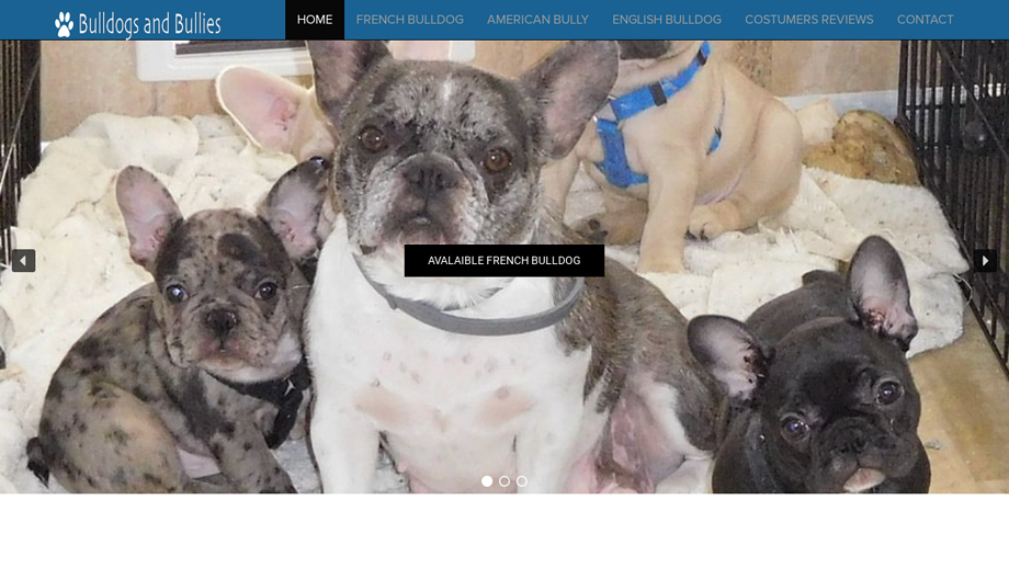 Bulldogsandbullies.com - Bulldog Puppy Scam Review