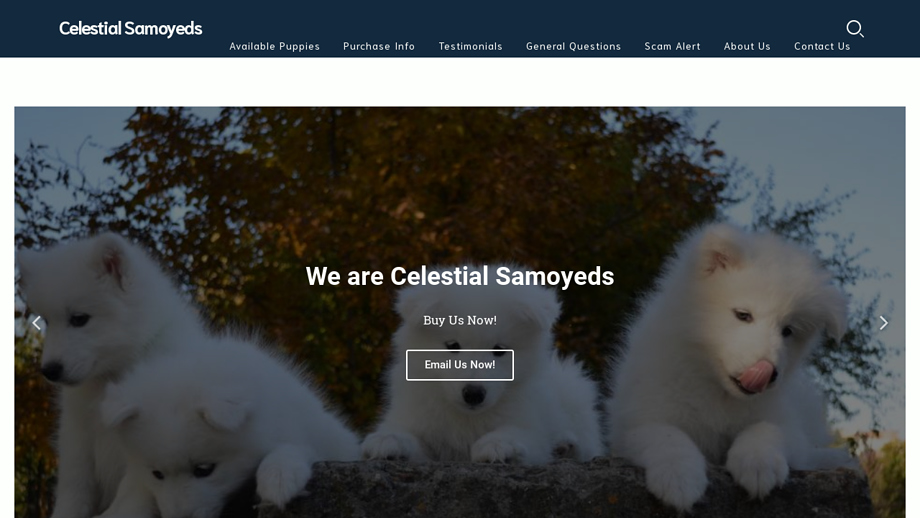 Celestialsamoyeds.com - Samoyed Puppy Scam Review