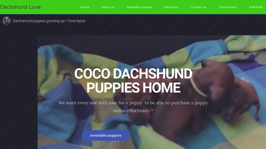 Cocodachshundspups.com - Dachshund Puppy Scam Review