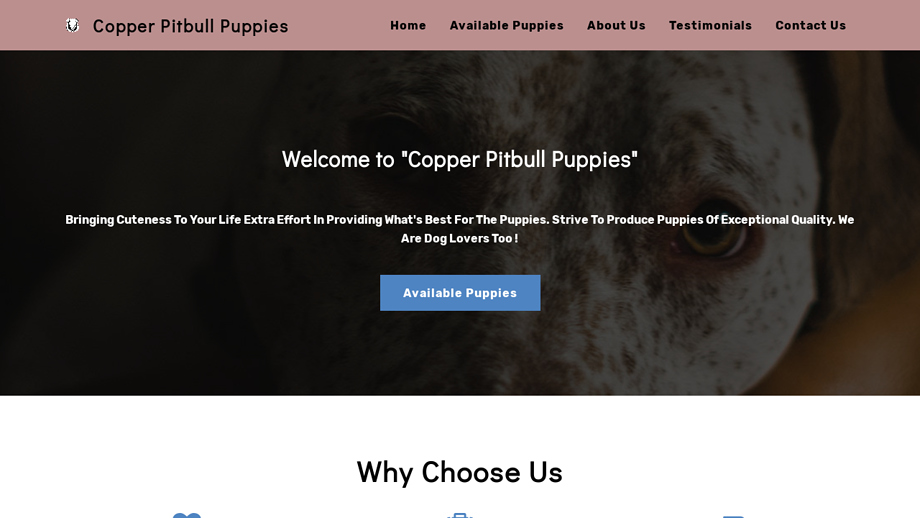 Copperpitbullpuppies.com - Pit Bull Puppy Scam Review