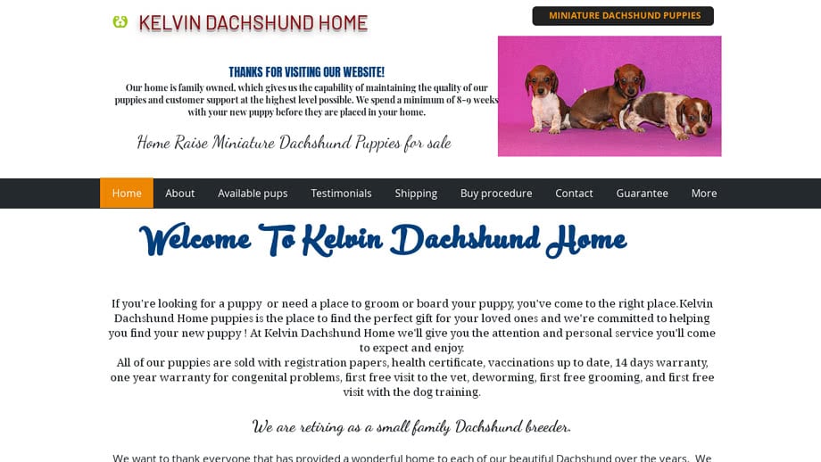 Cutedachshund.com - Dachshund Puppy Scam Review