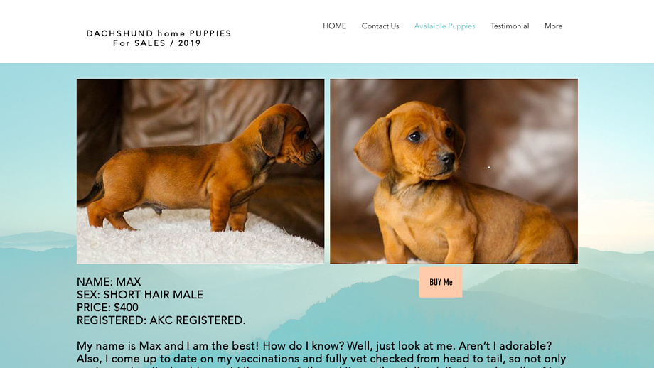 Dachshundkidpups.com - Dachshund Puppy Scam Review