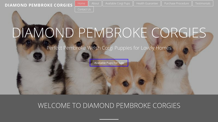 Diamondpembrokecorgies.com - Corgi Puppy Scam Review