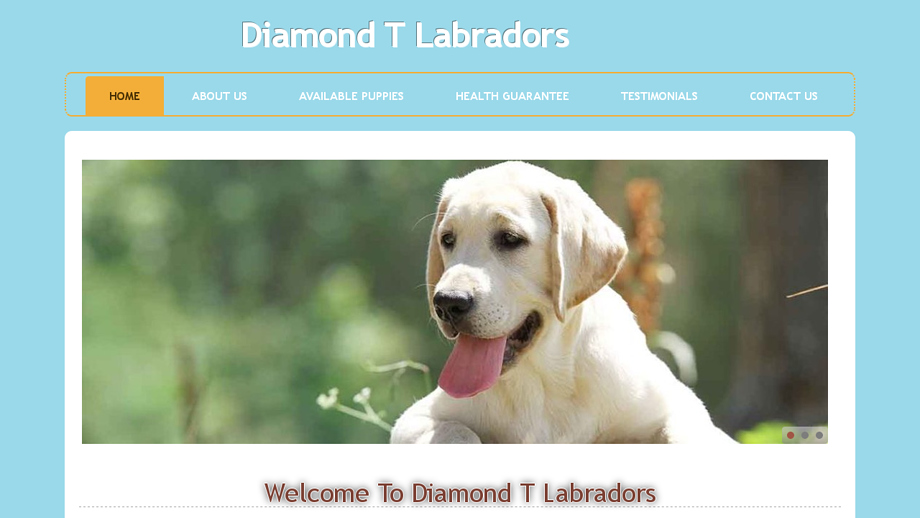 Diamondtlabradors.com - Labrador Puppy Scam Review