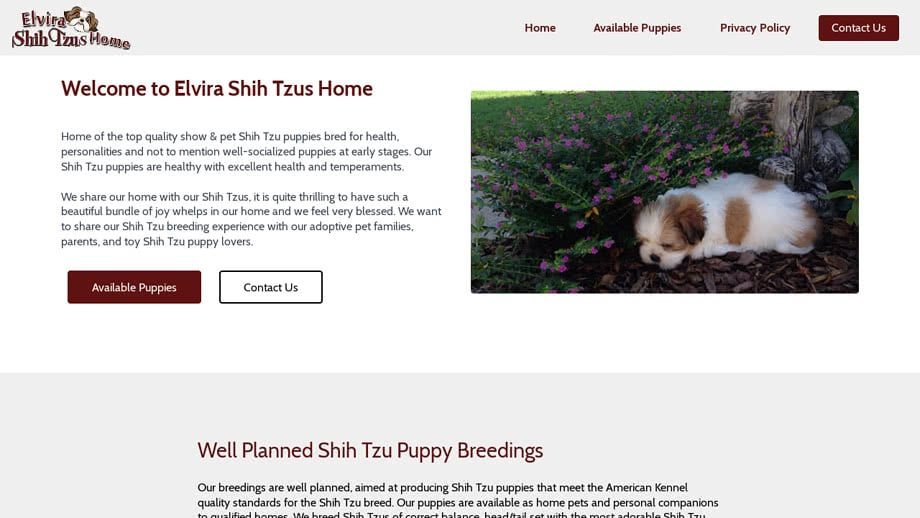 Elvirashihtzushome.com - Shihtzu Puppy Scam Review