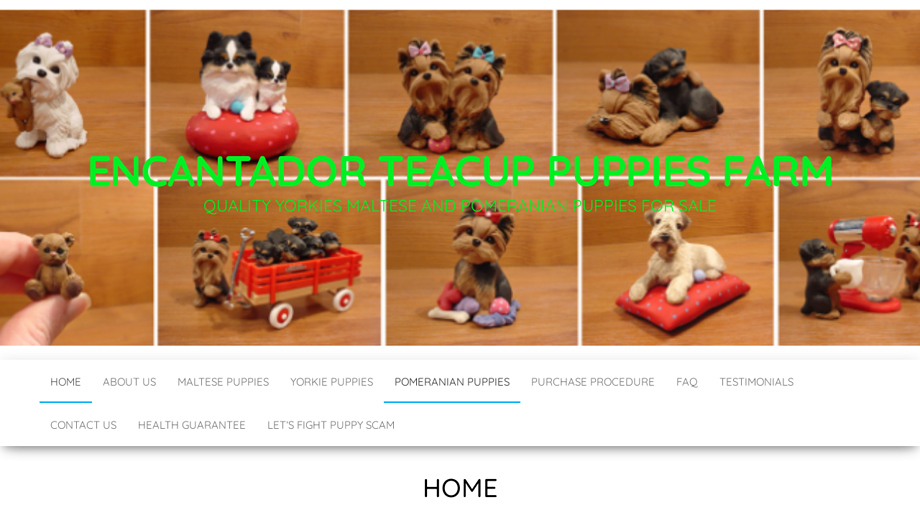 Encantadorteacupfarm.com - Yorkshire Terrier Puppy Scam Review