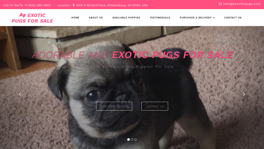 Exocticpugs.com - Pug Puppy Scam Review