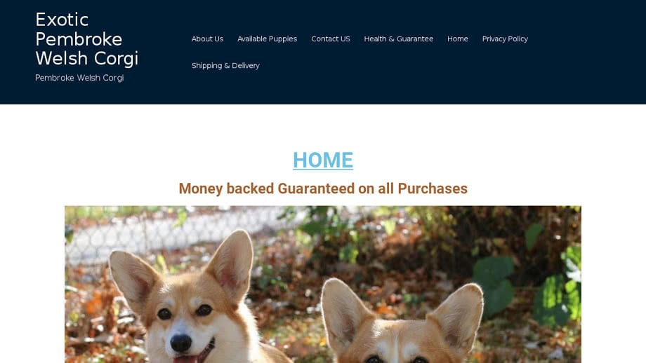 Exoticpembrokewelshcorgi.com - Corgi Puppy Scam Review