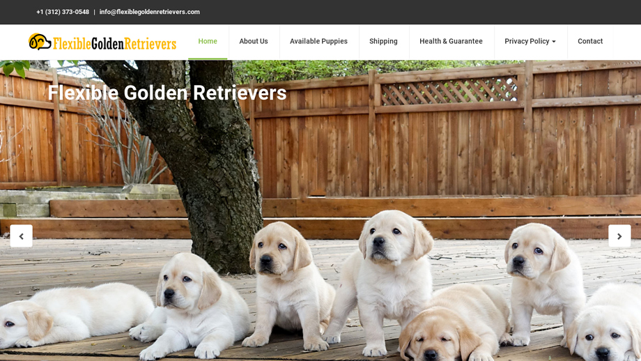 Flexiblegoldenretrievers.com - Golden Retriever Puppy Scam Review