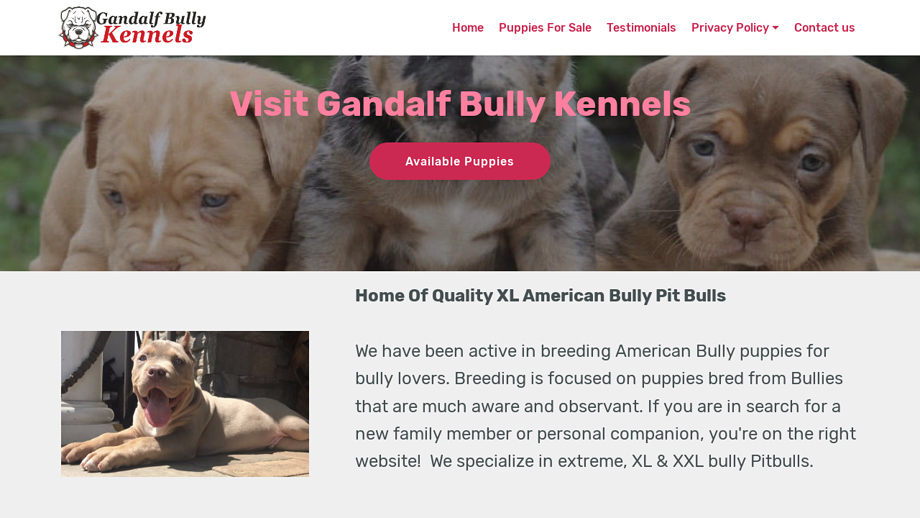 Gandalfbullyzkennels.com - Pit Bull Puppy Scam Review