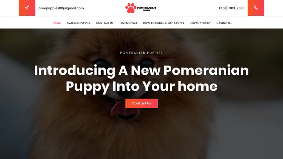 Goldenpomeranianpups.com - Pomeranian Puppy Scam Review