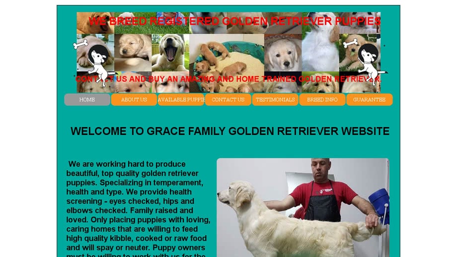 Gracefamilygoldenretriever.com - Golden Retriever Puppy Scam Review