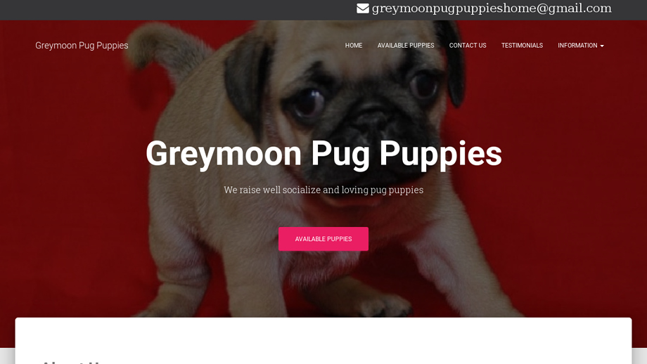 Greymoonpugpuppies.com - Pug Puppy Scam Review