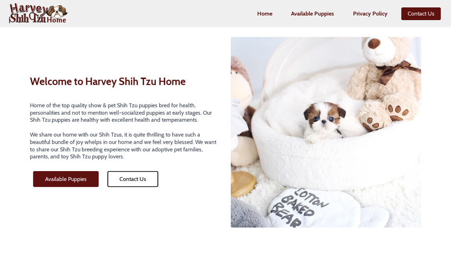 Harveyshihtzuhome.com - Shihtzu Puppy Scam Review