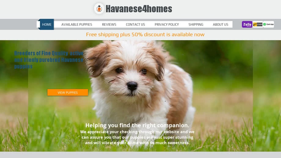 Havanese4homes.dog - Havanese Puppy Scam Review