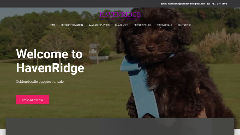 Havenridgegoldendoodle.com - Golden Doodle Puppy Scam Review