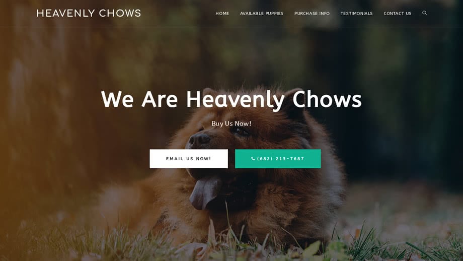 Heavenlychowz.com - Chowchow Puppy Scam Review