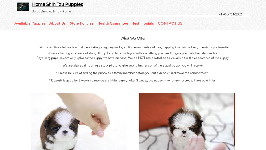 Homeshihtzupuppies.com - Shihtzu Puppy Scam Review