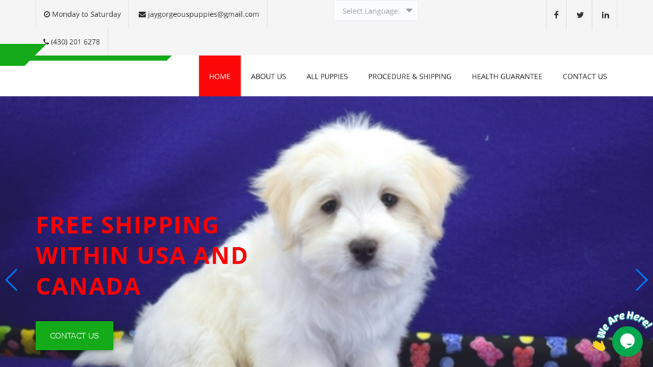 Jaygorgeouspuppies.com - Chihuahua Puppy Scam Review