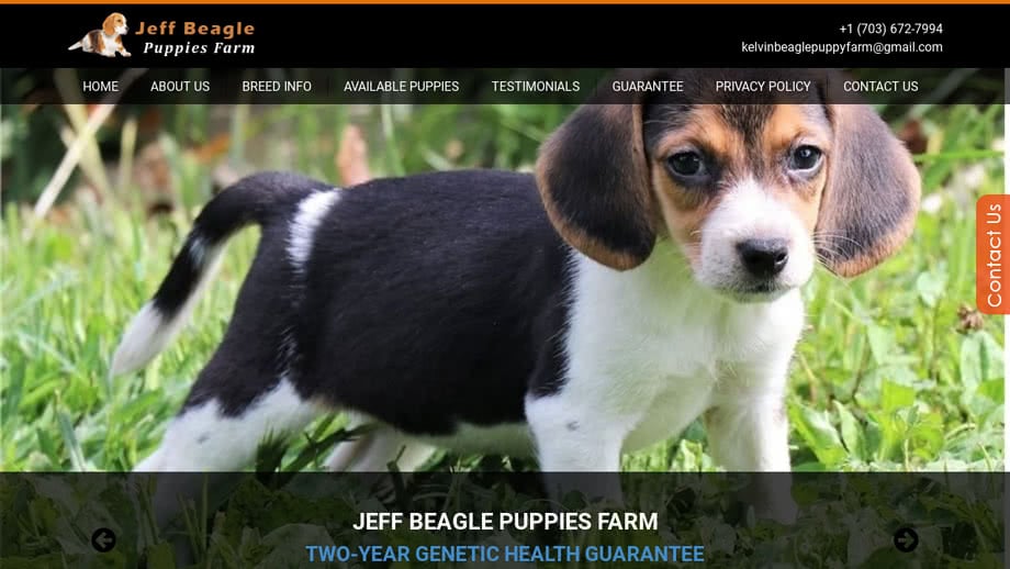 Jeffbeaglepuppiesfarm.com - Beagle Puppy Scam Review