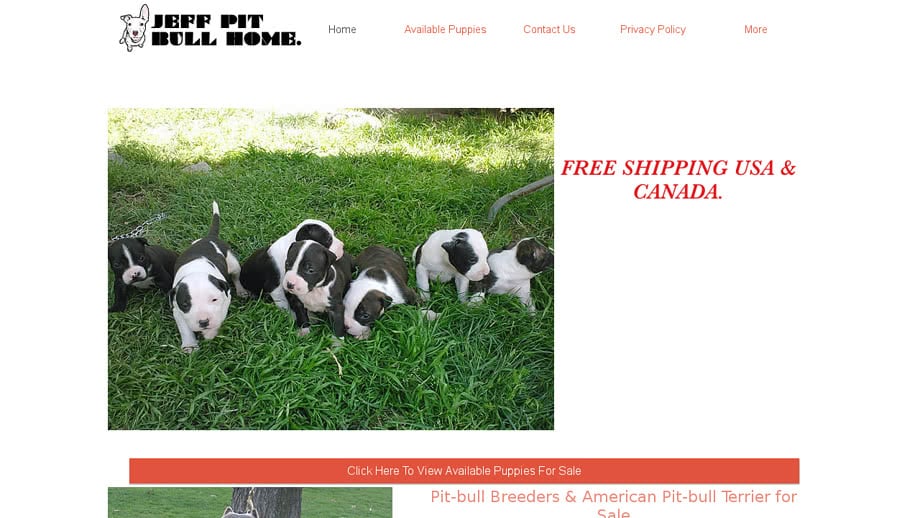 Jeffpitbullhome.com - Pit Bull Puppy Scam Review