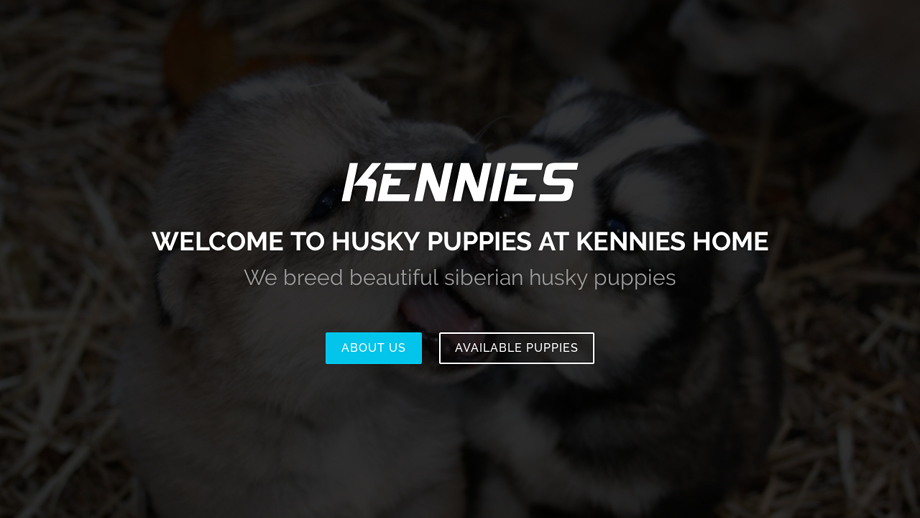 Kennieshuskyhome.com - Husky Puppy Scam Review