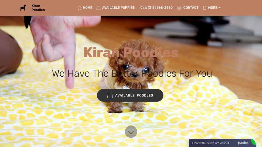 Kiranpoodles.com - Poodle Puppy Scam Review