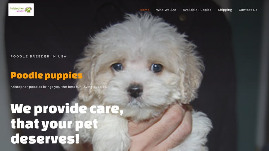 Kristopherpoodles.com - Poodle Puppy Scam Review