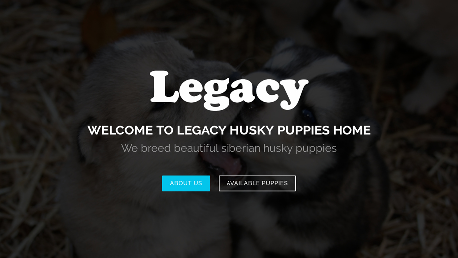 Legacyhuskyhome.com - Husky Puppy Scam Review