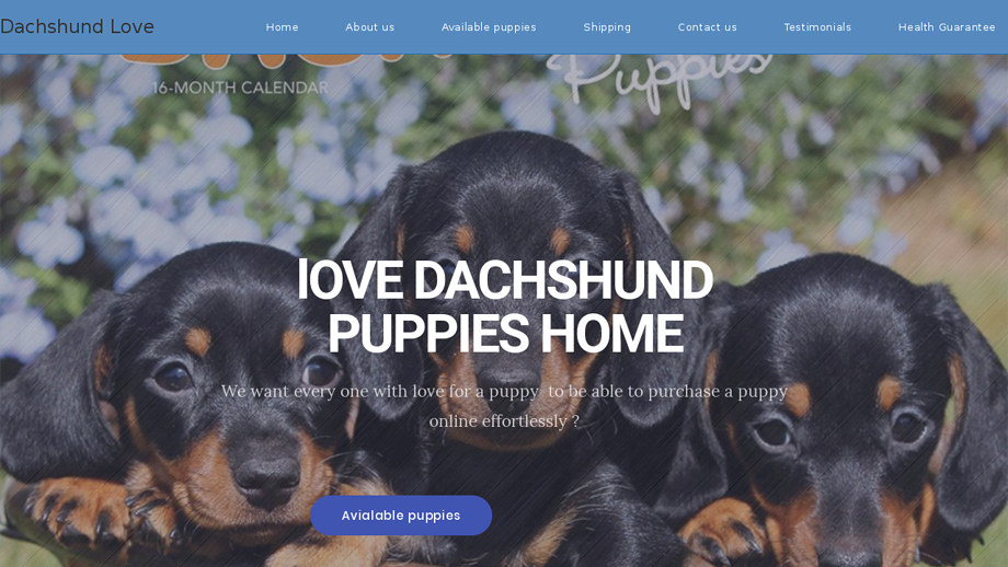 Lovedachchundhome.com - Dachshund Puppy Scam Review