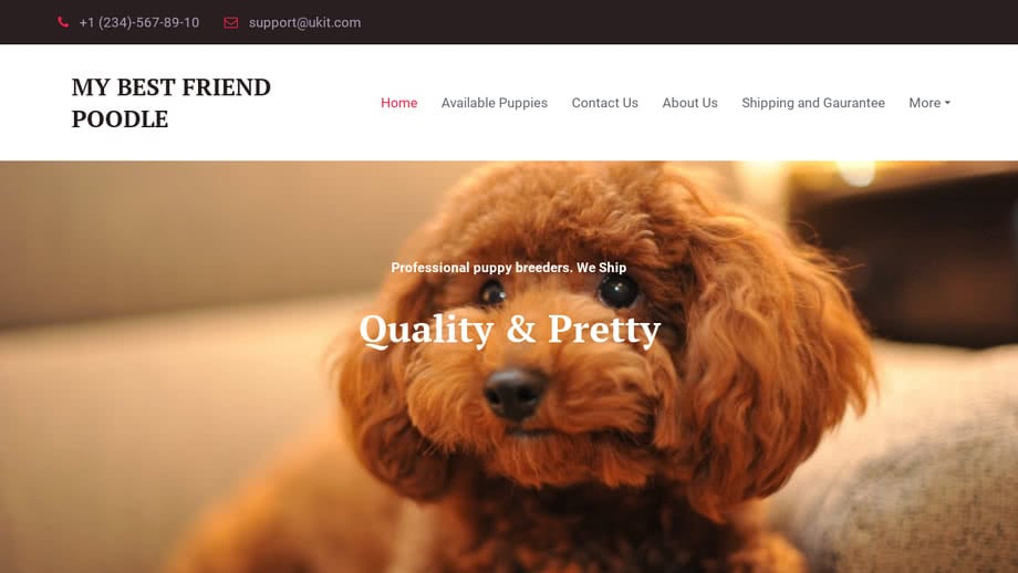 Mybestfriendpoodle.com - Poodle Puppy Scam Review