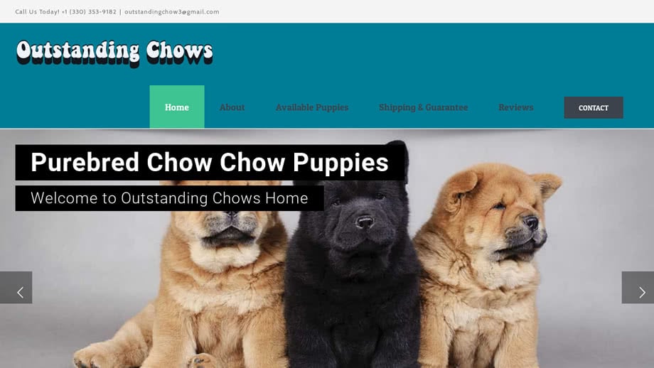 Outstandingchows.com - Chowchow Puppy Scam Review