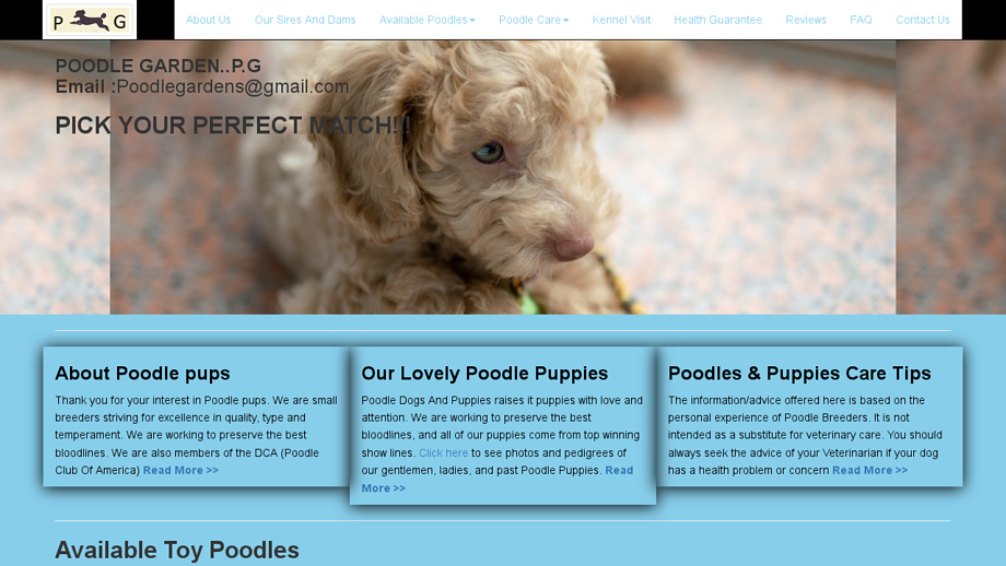 Poodlegardenss.com - Poodle Puppy Scam Review