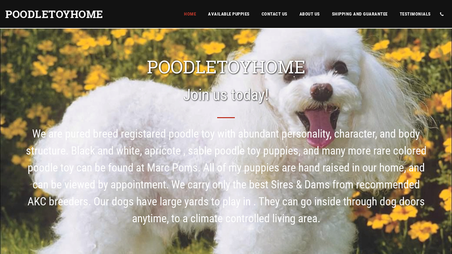 Poodletoyhome.com - Poodle Puppy Scam Review