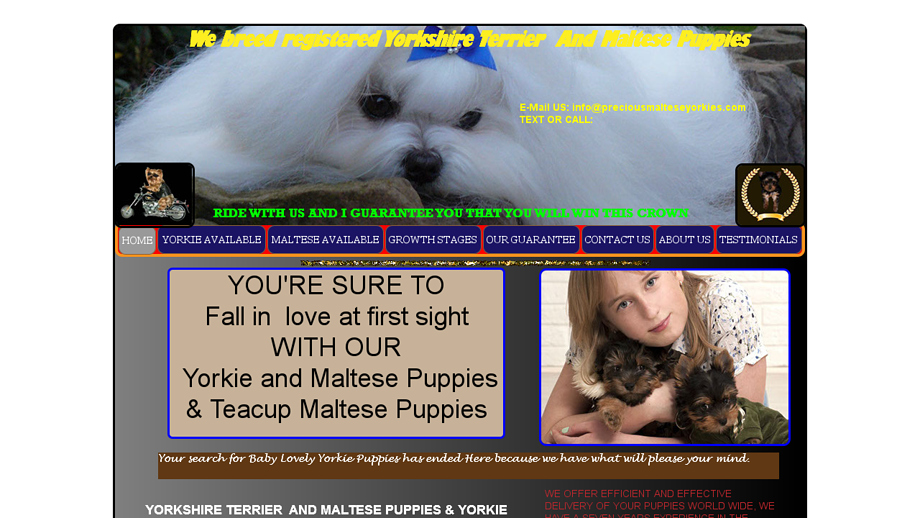 Preciousmalteseyorkies.com - Maltese Puppy Scam Review