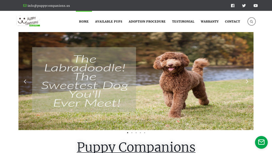 Puppycompanions.us - Labradoodle Puppy Scam Review